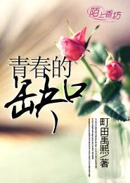 青春的缺口封面