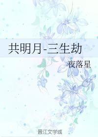 共明月封面