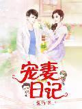 宠妻日记封面