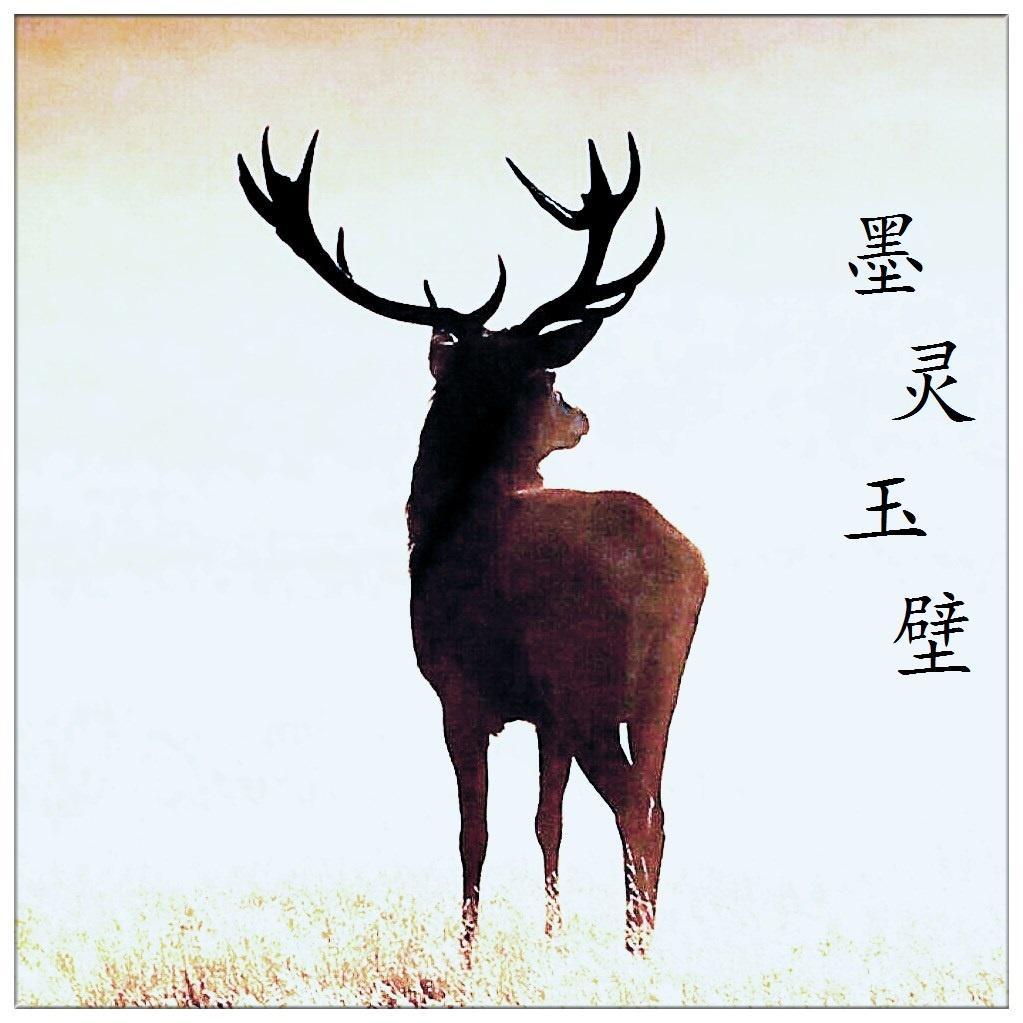 墨灵玉壁封面