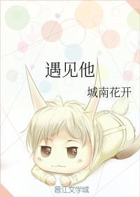 遇见他封面