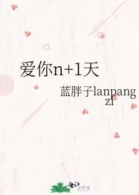 爱你n+1天封面