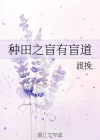 种田之盲有盲道封面
