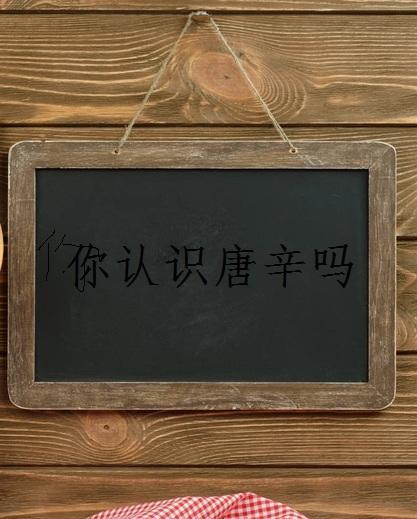 你认识唐辛吗封面