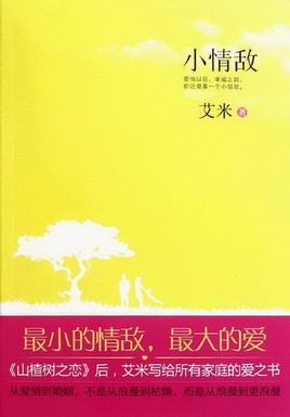 小情敌（出书版）封面