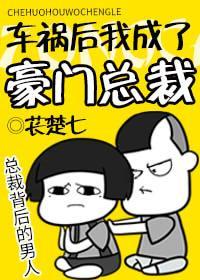车祸后我成了豪门总裁封面