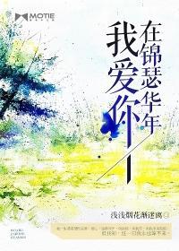我爱你,在锦瑟华年封面
