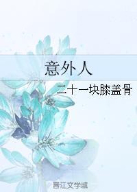 意外人封面
