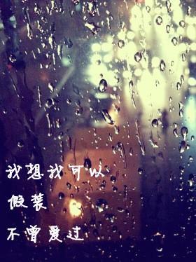 我想我可以假装不曾爱过封面