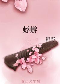 蜉蝣封面