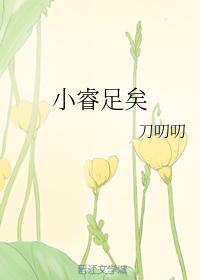 小睿足矣封面