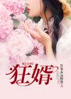 陈铁林清音.封面