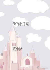他的小月亮封面