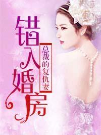 错入婚房：总裁的覆仇妻封面