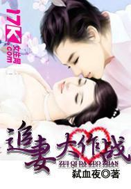 追妻大作战封面