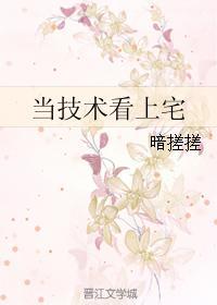 当技术看上宅封面