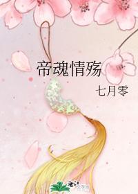 帝魂情殇封面