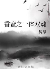 香蜜之一体双魂封面
