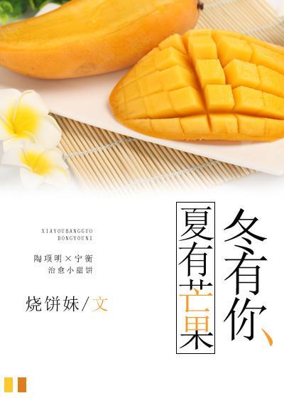 夏有芒果冬有你封面