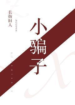 小骗子封面