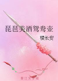 琵琶美酒鸳鸯壶封面