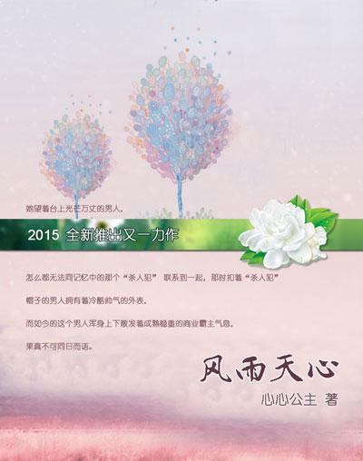 风雨天心封面
