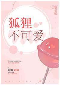 狐貍不可爱封面