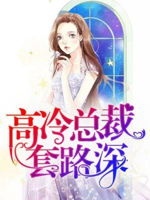 高冷总裁套路深封面