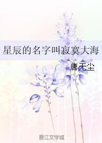 星辰的名字叫寂寞大海封面