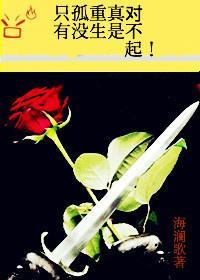 只有孤没重生真是对不起封面
