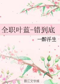 全职叶蓝-错到底封面