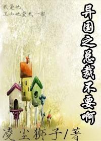 异国之总裁不要啊（gl）封面