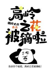 高岭之花被摘啦封面