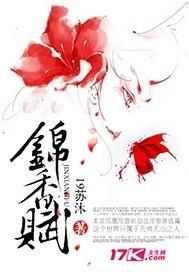 锦香赋封面