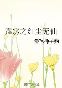 霹雳之红尘无仙封面