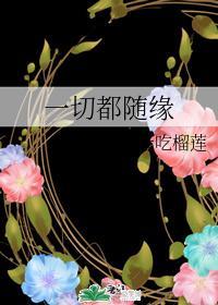 一切都随缘封面