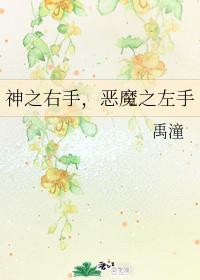 神之右手,恶魔之左手封面