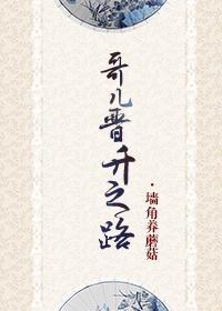 哥儿晋升之路封面