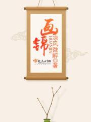 画锦封面