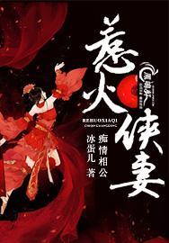 痴情相公,惹火侠妻封面