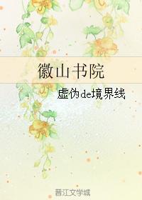 徽山书院封面