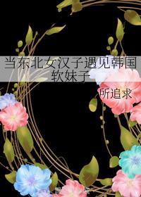 当东北女汉子遇见韩国软妹子封面