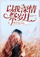 以我深情祭岁月封面