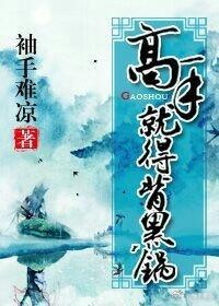 高手就得背黑锅封面