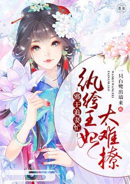 邪王追妻忙：纨绔王妃太难撩封面