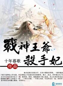 战神王爷杀手妃封面