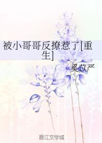 被小哥哥反撩惹了[重生]封面