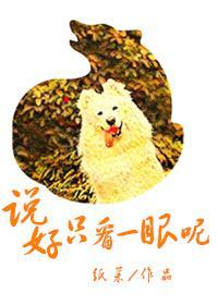说好只看一眼呢封面