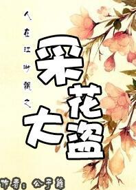 人在江湖飘之采花大盗封面