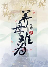 养母难为封面
